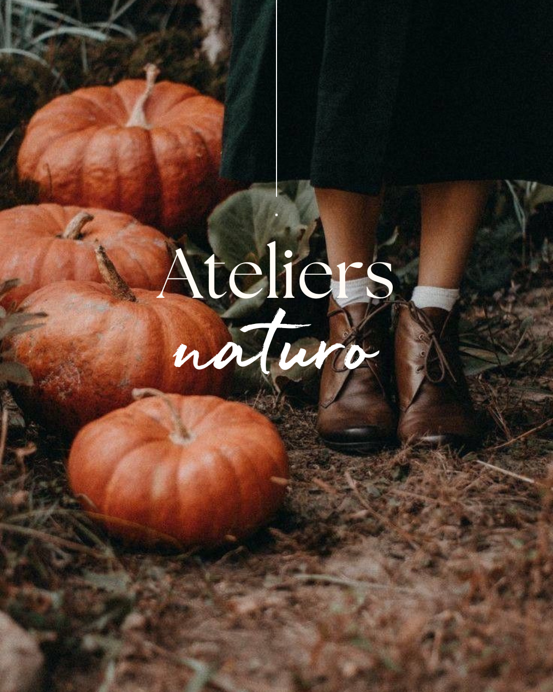 Ateliers naturo