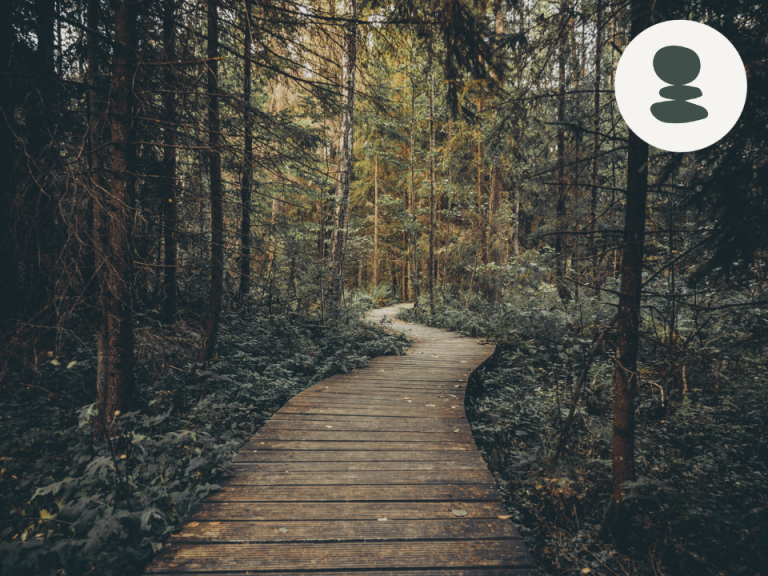 Sentier-BAIN-DE-FORET-pleine-consicence-en-nature-et-meditation