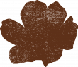 Grande fleur brun Grande fleur brun