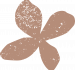 Petite fleur rose Petite fleur rose