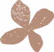 Petite fleur rose